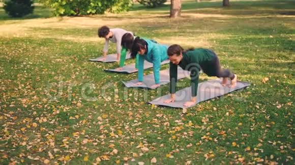 穿着时髦运动服的漂亮女孩在温暖的秋日在公园的垫子上做了一连串的瑜伽练习视频的预览图