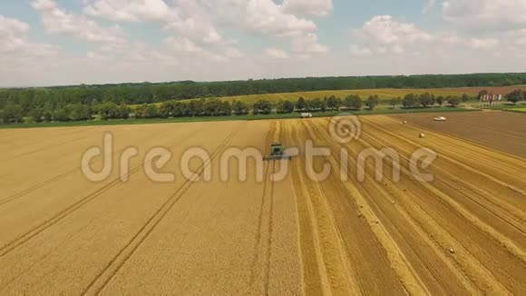 在道路和森林附近的农田收获小麦视频的预览图