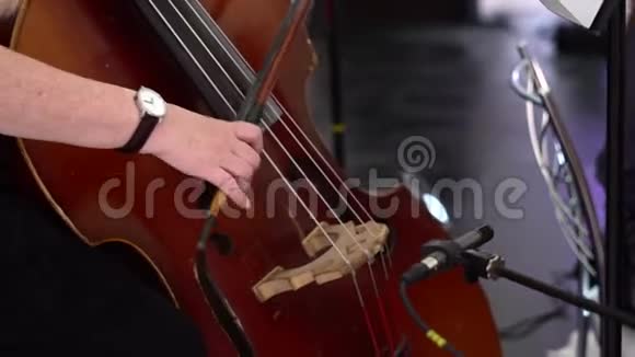 女孩演奏双低音手触摸琴弦视频的预览图