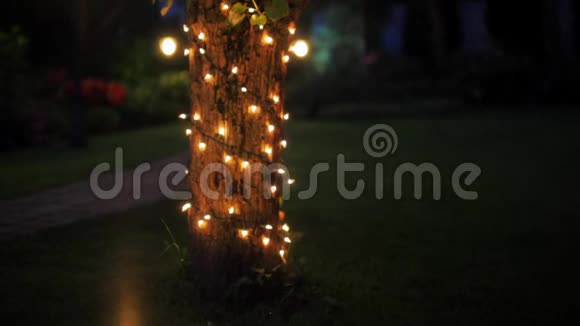奇妙的B卷视频一棵树与加兰和灯笼在花园的夜晚视频的预览图