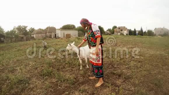 一位年轻女子穿着传统的乌克兰传统服装在村子附近的一块田地里放着山羊视频的预览图
