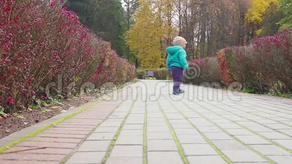 有趣的微笑一岁的男孩走在秋天公园的日落手里拿着面包快乐的童年概念慢慢视频的预览图