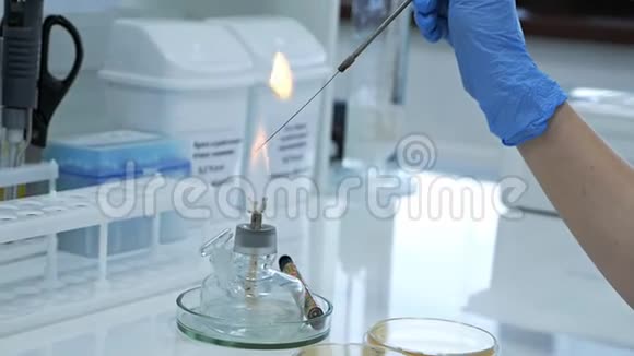 玻璃酒精燃烧器在实验室的桌子上燃烧加热的管子和烧瓶火和安瓿带药燃烧器视频的预览图