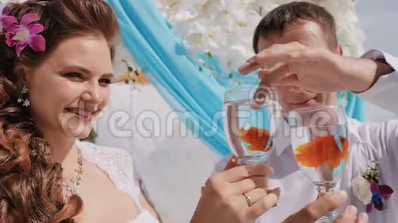 新娘和新郎拿着两条游泳鱼一个小丑结婚的主意对的符号异国情调的海滩视频的预览图