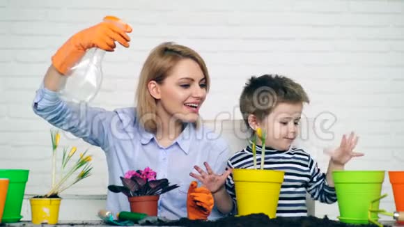 家庭休闲的概念母亲和儿子用盆子浇花夏天的花视频的预览图