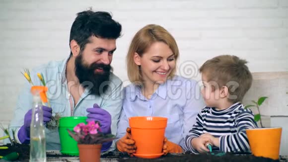 快乐和微笑的父母看到他们的儿子如何帮助他们在彩色花盆里种花农业概念视频的预览图
