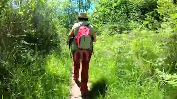 在山里徒步旅行背着背包行走的女人的后景视频的预览图