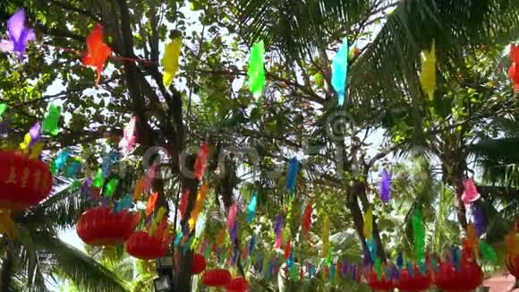 明亮的新年装饰在棕榈树上视频的预览图