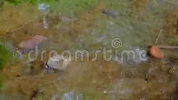 暴雨期间大滴雨落在水坑里水滴特写镜头下大雨视频的预览图