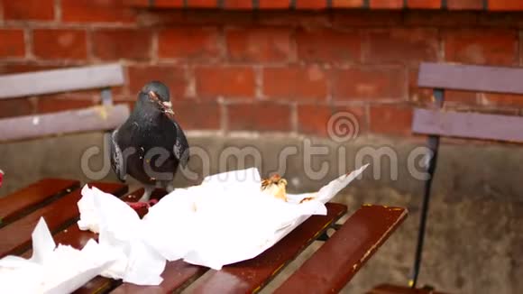一只鸟在户外咖啡馆里坐在桌子上寻找吃剩的食物视频的预览图