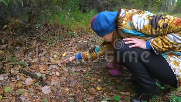 妈妈教她的小女儿采蘑菇视频的预览图