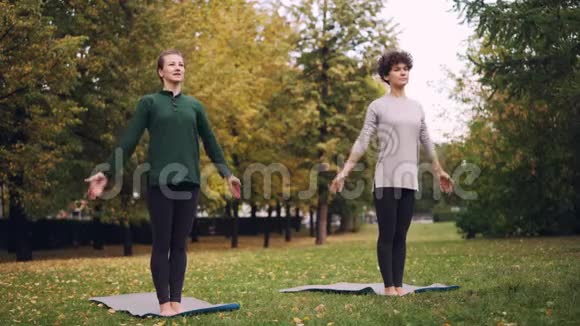 两个漂亮的女人正在公园里做瑜伽在垫子上练习体式和呼吸新鲜空气个别做法视频的预览图