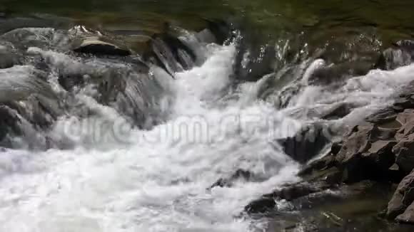 在夏天的一天快速的山溪视频的预览图