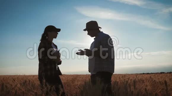 两个农民在一片麦田里对着蓝天说话一群农民站在麦田里用平板电脑控制视频的预览图
