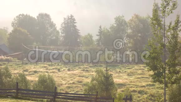 喀尔巴阡山薄雾般的早晨视频的预览图