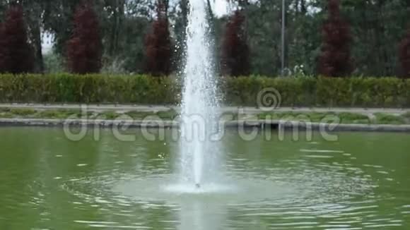 公园里的一个普通喷泉视频的预览图