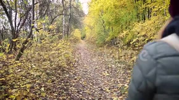 一个年轻的女人骑着自行车在秋天的森林里散步视频的预览图