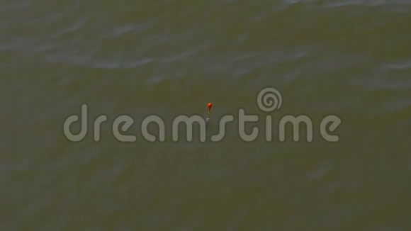 浮子在河水中然后从水面上升到水面视频的预览图
