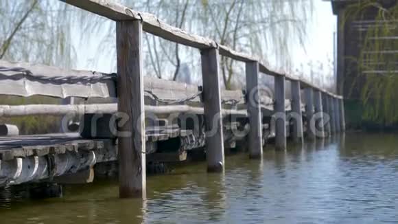 平静和平静的水的气氛在被芦苇包围的湖面上的一个木墩上闪现视频的预览图