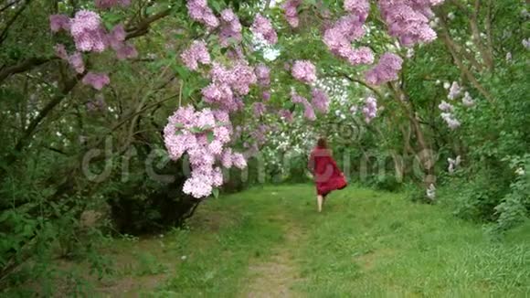 女孩带着盛开的紫薇花在花园里快乐地离去视频的预览图
