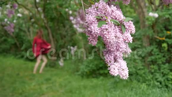 少女在丁香花丛中缓慢地跳舞视频的预览图