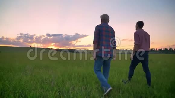 老父亲和他成年的儿子在麦田里散步看着美丽的日落大自然令人惊叹视频的预览图
