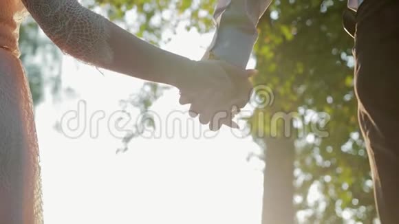 斯坦迪卡姆拍摄了一对恩爱夫妻的手掌特写男人和女孩爱抚手的背景视频的预览图