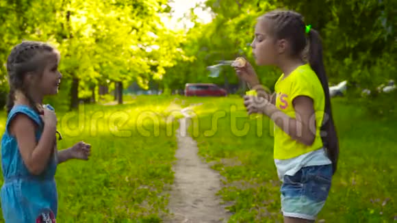 两个姐姐在公园里吹肥皂泡视频的预览图