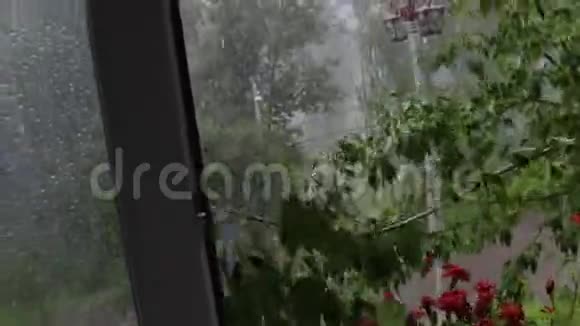 暴风雨和倾盆大雨窗外的景色树枝直接弯下身子走进房间视频的预览图