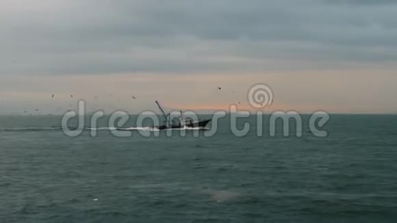 渔船与海鸥在它后面飞翔视频的预览图