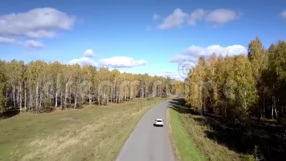 无人驾驶飞机跟随汽车在白桦林中蜿蜒行驶视频的预览图