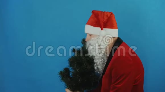 新年像圣诞老人一样的人嗅着圣诞树在蓝色的背景上竖起大拇指视频的预览图