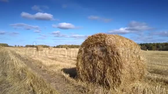 巨大的稻草堆在巨大的麦田里视频的预览图