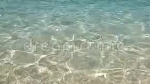 观美丽的海水清澈的海水屏保清洁水生态理念视频的预览图