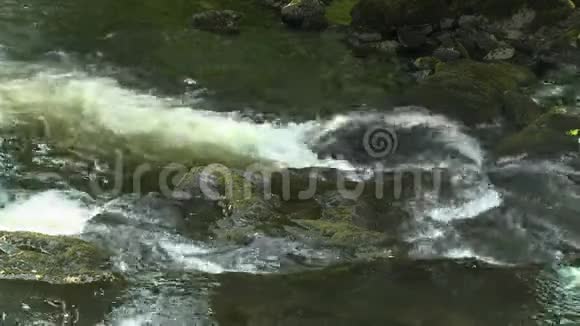 水在溪流中撞击岩石视频的预览图