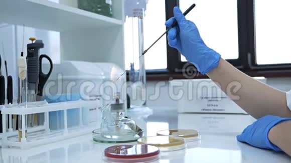 玻璃酒精燃烧器在实验室的桌子上燃烧加热的管子和烧瓶火和安瓿带药燃烧器视频的预览图