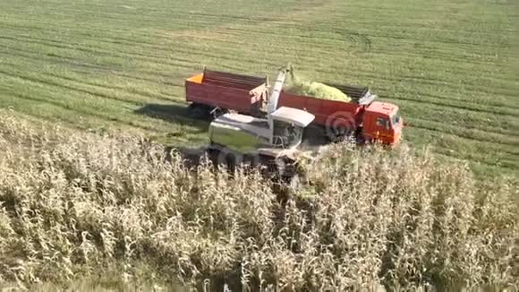 青贮收割机将玉米茎大量倒入卡车视频的预览图