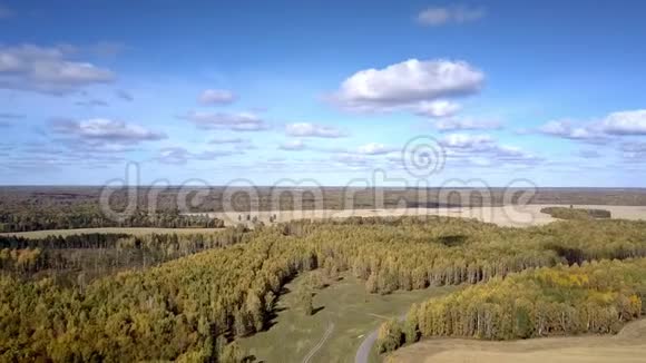 空中全景金色的田野在天空下的古树林中视频的预览图