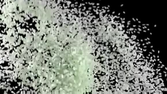 白米在黑色背景下爆炸后苍蝇用高速相机拍摄动作缓慢视频的预览图