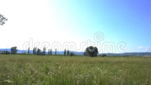 有蓝天和相机的草甸视频的预览图