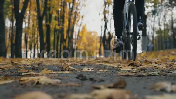 不可辨认的年轻人骑自行车穿过城市公园在五颜六色的树木在秋日的户外骑自行车视频的预览图