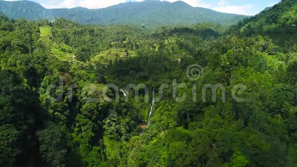 绿色雨林中强大的热带瀑布稻田附近的瀑布视频的预览图