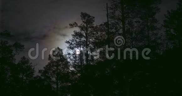 夜晚神秘的冷色调全景满月下云杉森林的轮廓和戏剧性视频的预览图