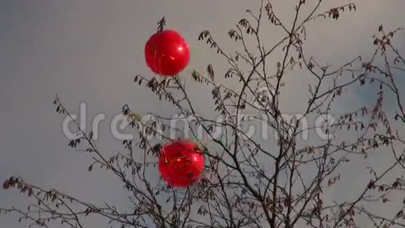 风上的气球视频的预览图