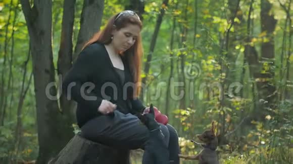 一个红头发的女孩手里拿着两只小狗视频的预览图
