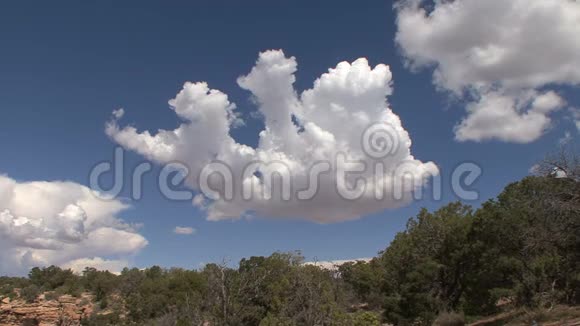亚利桑那州有趣的云视频的预览图