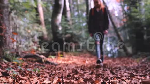 在一片美丽的秋天的树林里一个女人走在被红干树叶覆盖的小径旁视频的预览图