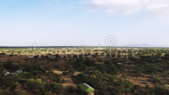 东非传统非洲农村部落村庄的空中拍摄空中拍摄热带草原景观视频的预览图