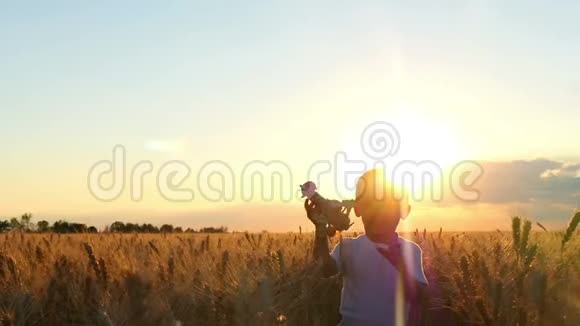 日落时一个孩子沿着麦田奔跑手里拿着一架玩具飞机男孩展示了视频的预览图