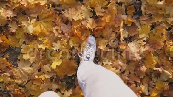 观点以男足踩色落叶人走在秋天的森林里在黄色的树叶上一个家伙视频的预览图